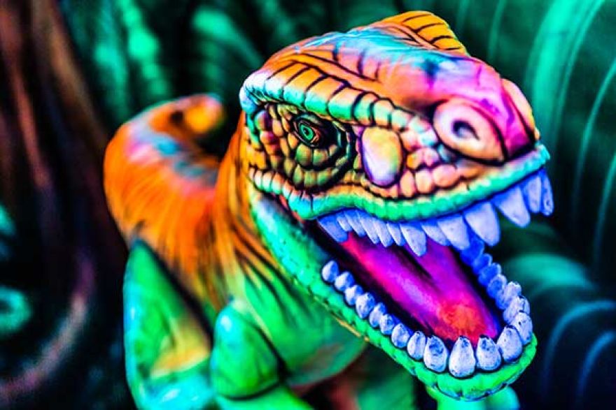 Attractieparken in de Nederlandse Provincie Limburg