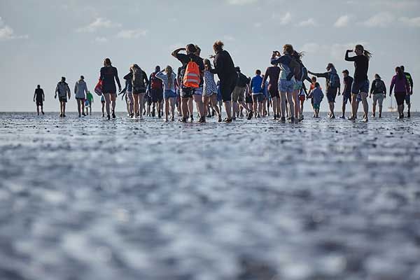 Wadlopen op de Nederlandse Wadden