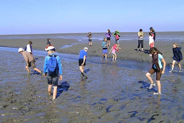 Wadlopen voor jong en oud in Nederland
