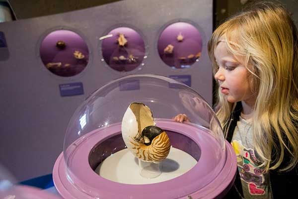 Expositie Natuurmuseum Nederland