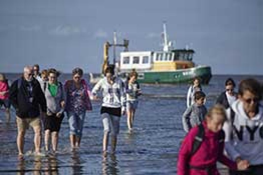 Rondvaarten en Wadlopen op de Nederlandse Waddeneilanden