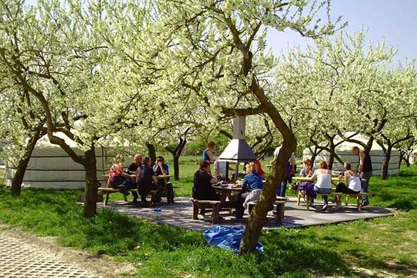 Groepstent Nederland