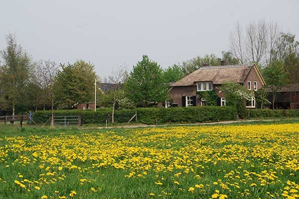 Bed and Breakfast op de Veluwe in Nederland