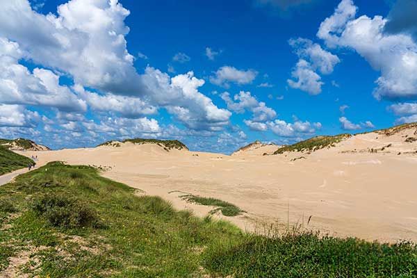 Camping aan de duinen in Noord-Holland