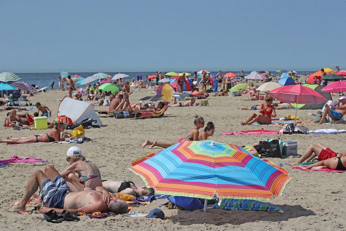 Strand Zuid-Holland Nederland