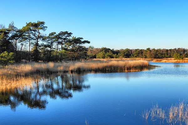 Camping in Overijssel Nederland