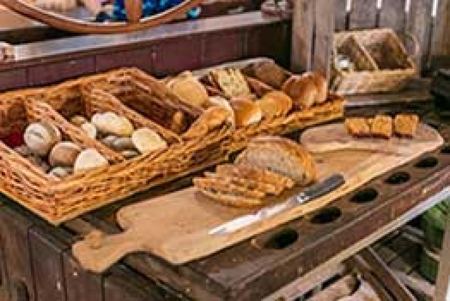 Bed and Breakfasts in Nederland