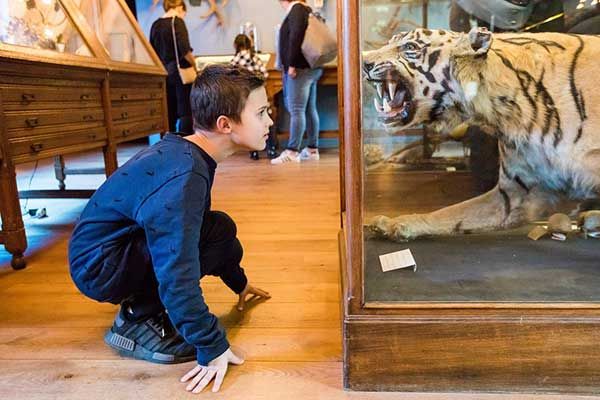 Museum bezoeken in de Nederlandse Provincie Friesland