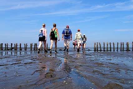 Wadlopen in Nederland