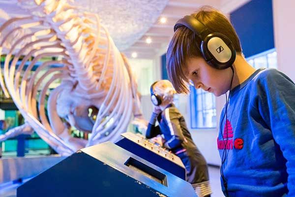 Natuurmuseum bezoeken in Nederland