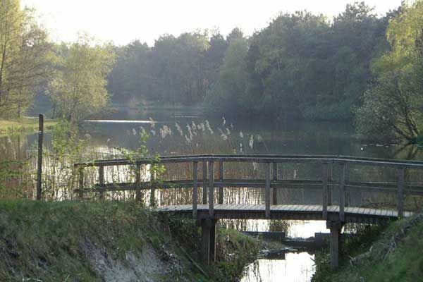 Camping met visvijver in Nederland