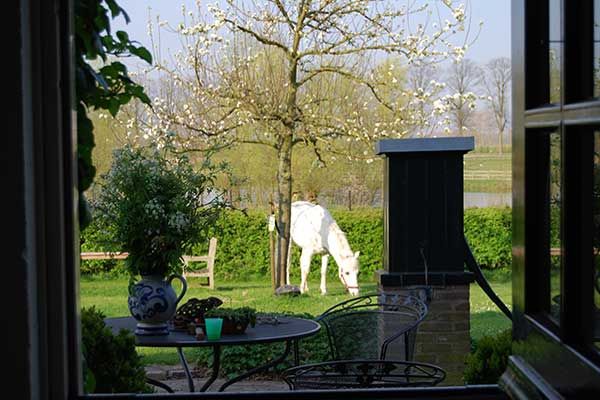 Bed and Breakfast voor Mindervaliden in Nederland