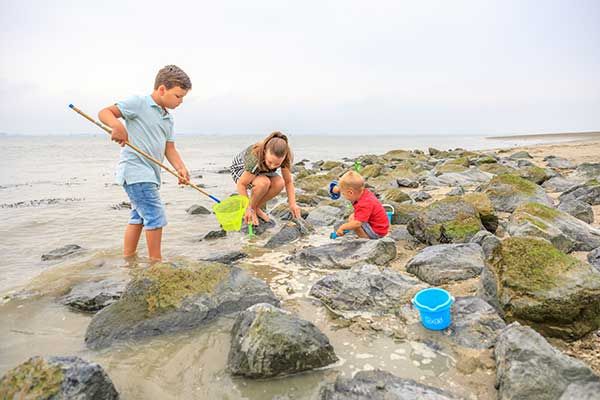 Camping Scheldeoord in Zeeland is een echte Familiecamping aan de Westerschelde in Nederland