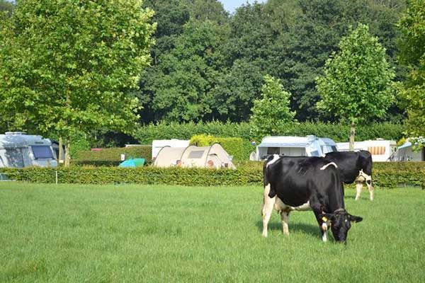 Camping in Nederlands Natuurgebied