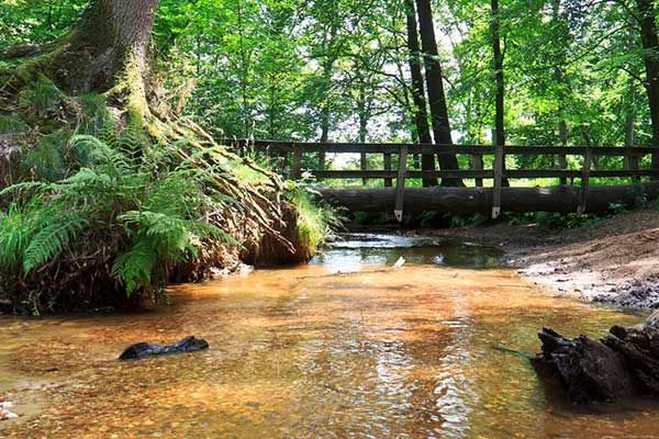 Hotel dichtbij de natuur in Nederlands Limburg