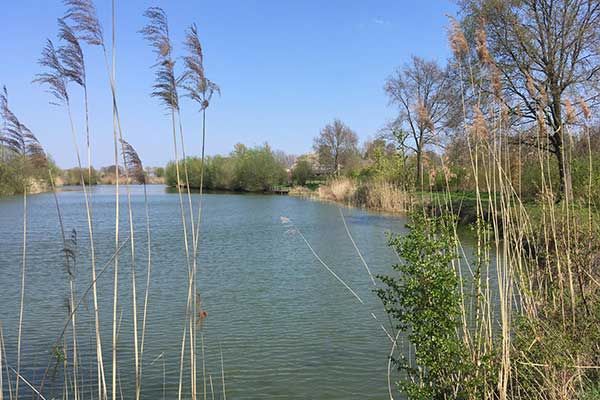 De gastenverblijven liggen direct aan het visrijke water
