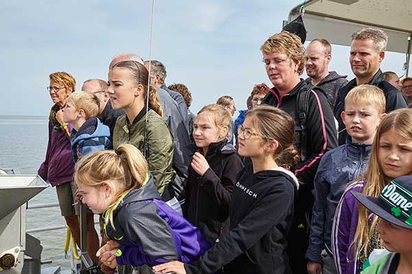 Garnalen Vissen en Zeehonden zien op de Waddenzee Nederland