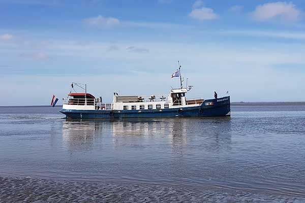 Wadlopen voor groepen in Nederland