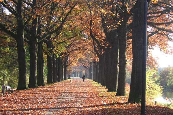 Veluwe Nederland